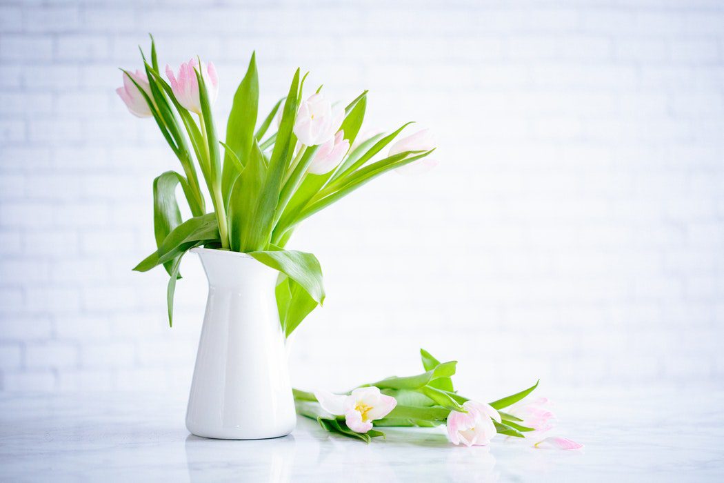 A white jug vase filled with pink tulips