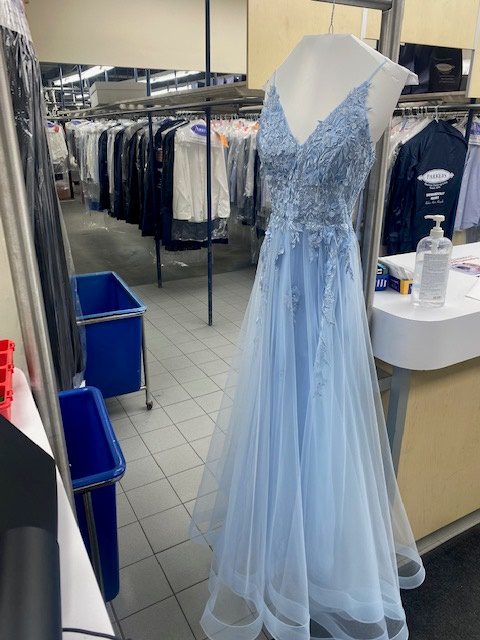 blue princess gown